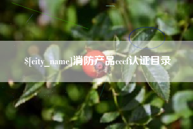 上杭消防产品cccf认证目录