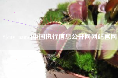 上杭中国执行信息公开网网站官网