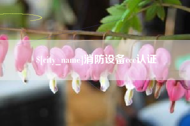 上杭消防设备ccc认证