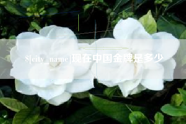 上杭现在中国金牌是多少