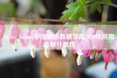 上杭中国消防救援学院2020年河南录取分数线