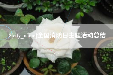 上杭全国消防日主题活动总结