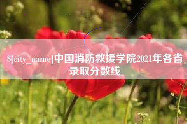 上杭中国消防救援学院2021年各省录取分数线