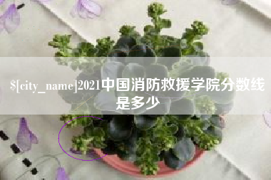 上杭2021中国消防救援学院分数线是多少