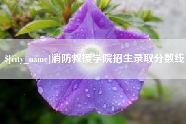 上杭消防救援学院招生录取分数线
