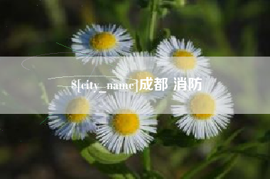 上杭成都 消防