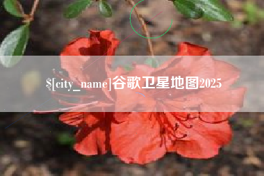 上杭谷歌卫星地图2025
