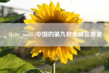 上杭中国的第九枚金牌在哪里