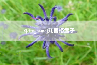 上杭九宫格盘子