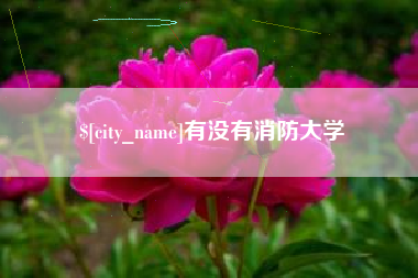 上杭有没有消防大学
