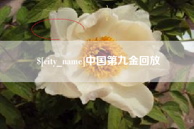 上杭中国第九金回放
