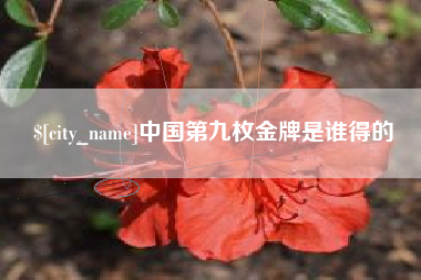 上杭中国第九枚金牌是谁得的