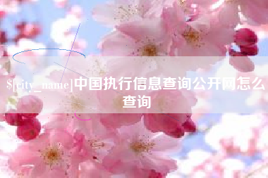 上杭中国执行信息查询公开网怎么查询