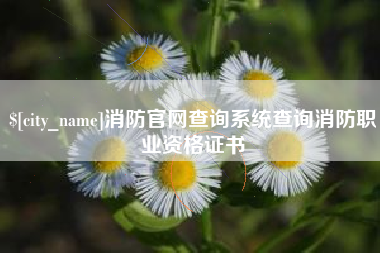 上杭消防官网查询系统查询消防职业资格证书