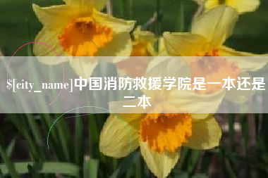 上杭中国消防救援学院是一本还是二本