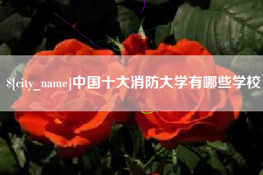 上杭中国十大消防大学有哪些学校