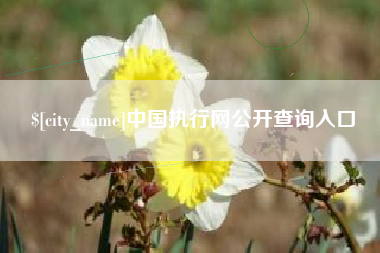 上杭中国执行网公开查询入口