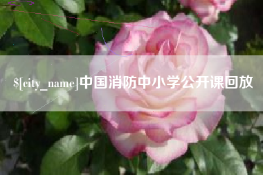上杭中国消防中小学公开课回放