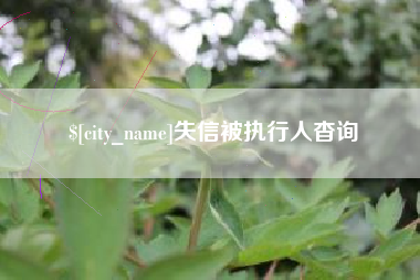 上杭失信被执行人杳询