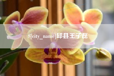 上杭邱县王子磊