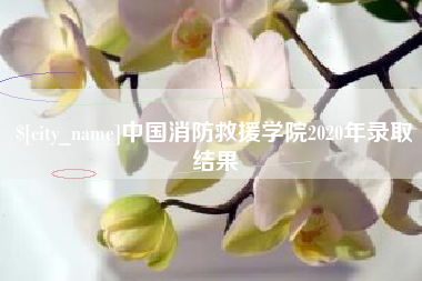 上杭中国消防救援学院2020年录取结果
