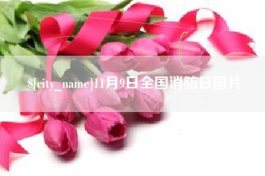 上杭11月9日全国消防日图片