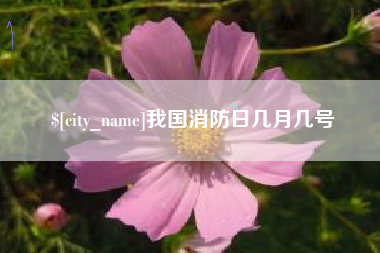 上杭我国消防日几月几号