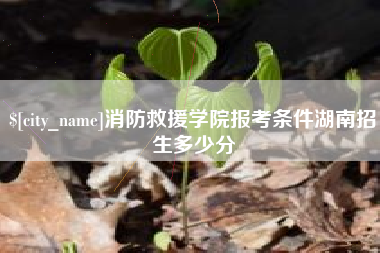 上杭消防救援学院报考条件湖南招生多少分