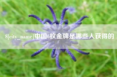 上杭中国6枚金牌是哪些人获得的
