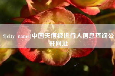 上杭中国失信被执行人信息查询公开网址