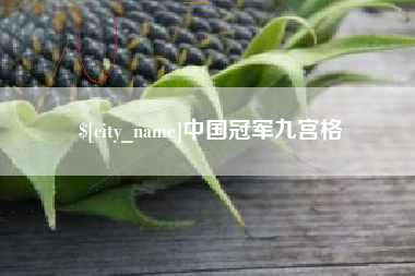 上杭中国冠军九宫格