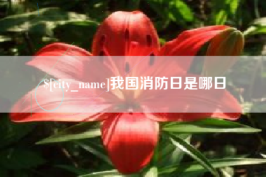 上杭我国消防日是哪日