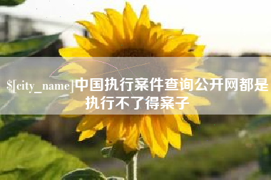 上杭中国执行案件查询公开网都是执行不了得案子