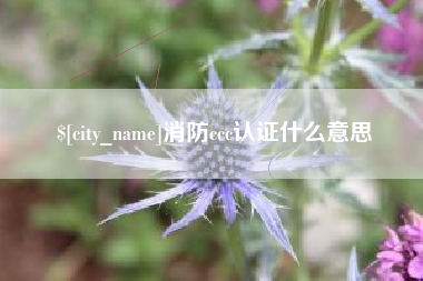 上杭消防ccc认证什么意思