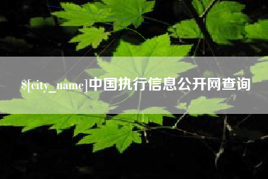 上杭中国执行信息公开网查询