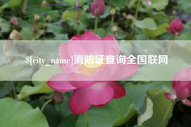 上杭消防证查询全国联网