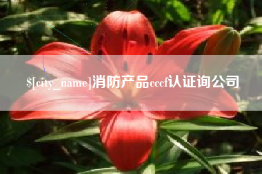 上杭消防产品cccf认证询公司