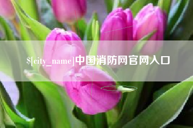 上杭中国消防网官网入口