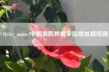 上杭中国消防救援学院地址路线图