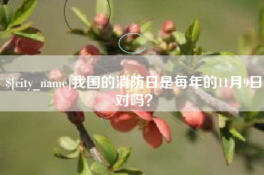上杭我国的消防日是每年的11月9日对吗？