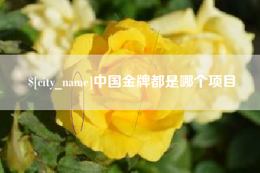 上杭中国金牌都是哪个项目