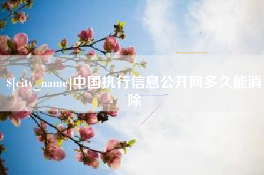 上杭中国执行信息公开网多久能消除