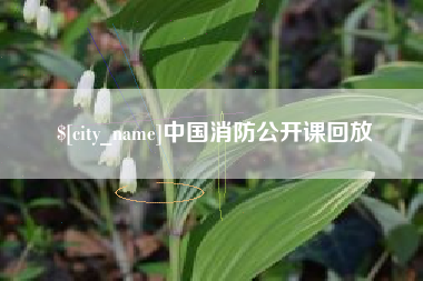 上杭中国消防公开课回放