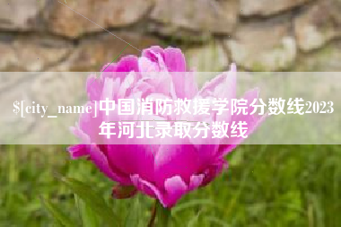 上杭中国消防救援学院分数线2023年河北录取分数线