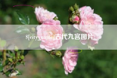 上杭古代九宫图片