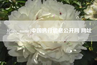 上杭中国执行信息公开网 网址