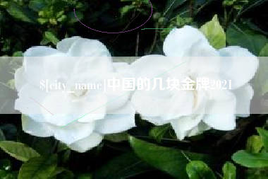上杭中国的几块金牌2021