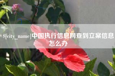 上杭中国执行信息网查到立案信息怎么办