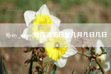 上杭我国消防日是几月几日几日