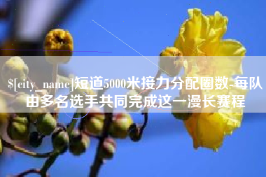 上杭短道5000米接力分配圈数-每队由多名选手共同完成这一漫长赛程